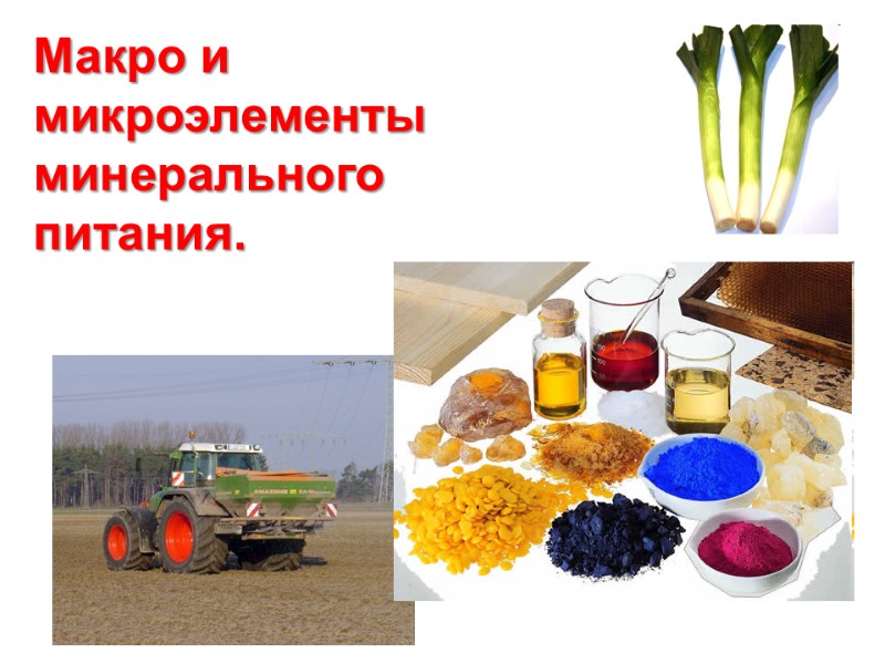 Макро и  микроэлементы минерального  питания.